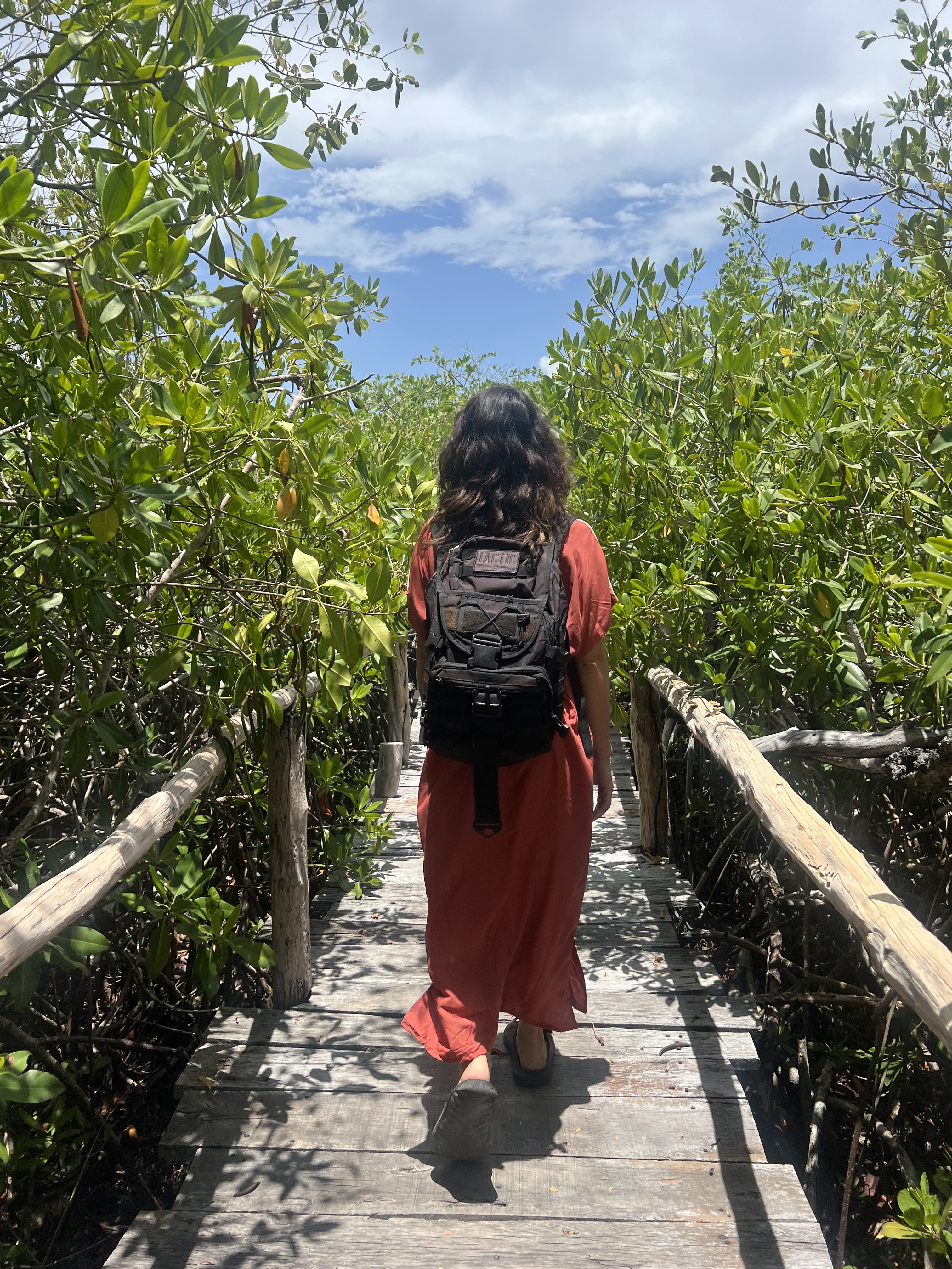 Walking through the mangrove boardwalk in Tulum