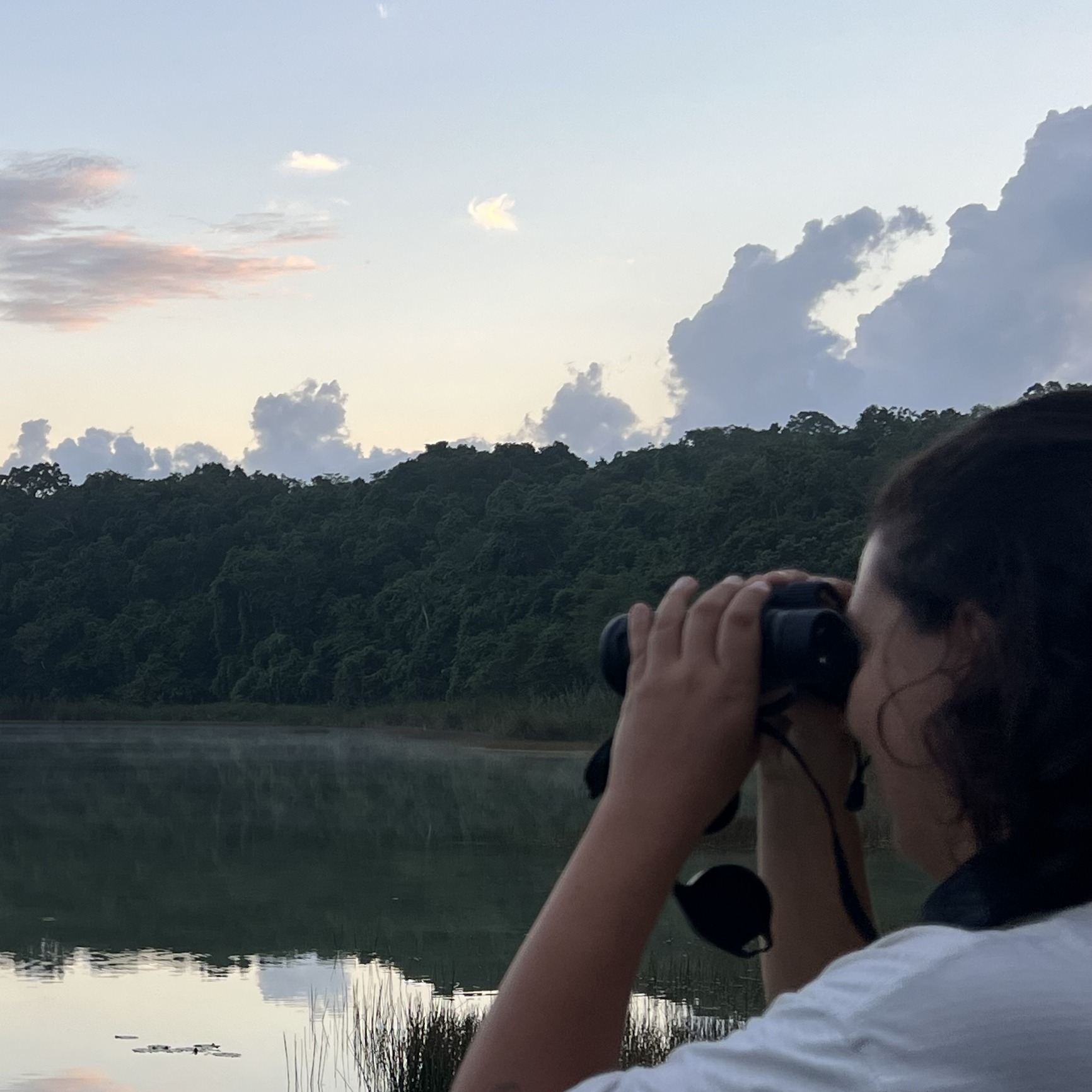 Birdwatching with binoculars near a lagoon in Tulum