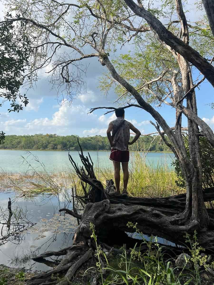 Looking out over the lagoon at Punta Laguna on the Monkey Spotting tour