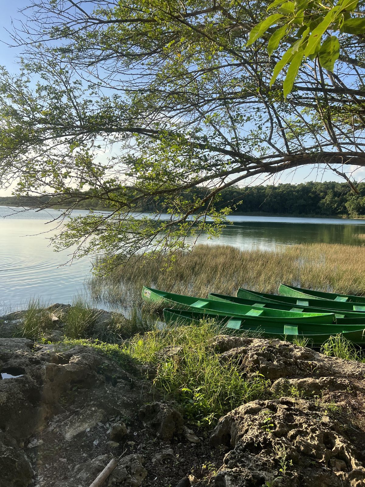 Canoes at Punta Laguna