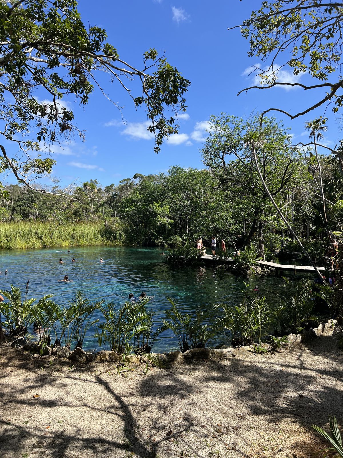 The local cenote add-on, with cliff jumping and clear water for snorkeling