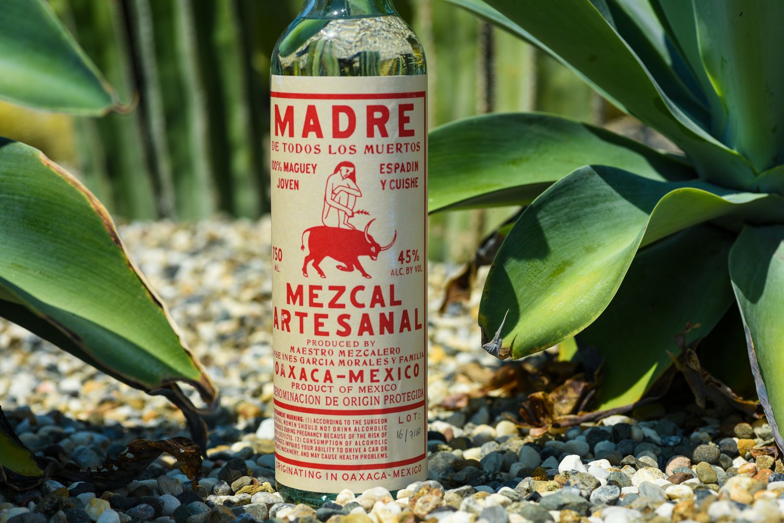 Mezcal tasting Polanco Mexico City